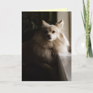 Spitz Miss You Card Karte