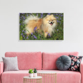 Spitz mit Blick auf die Kamera in den Bluebells Leinwanddruck (Insitu (Wohnzimmer))