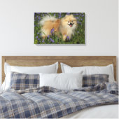Spitz mit Blick auf die Kamera in den Bluebells Leinwanddruck (Insitu (Schlafzimmer))