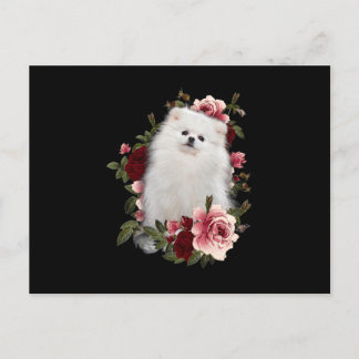 Spitz mit Blume Postkarte