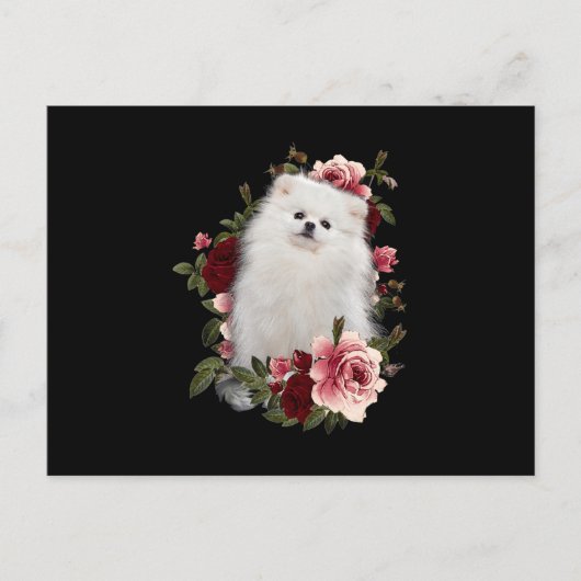 Spitz mit Blume Postkarte (Vorderseite)