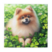 Spitz mit grünem Kleeblatt Fliese (Vorderseite)