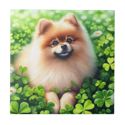 Spitz mit grünem Kleeblatt Fliese (Vorderseite)