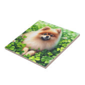 Spitz mit grünem Kleeblatt Fliese (Seite)