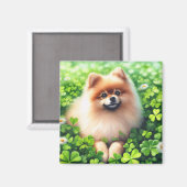 Spitz mit grünem Kleeblatt Magnet (Vorderseite/Rückseite)