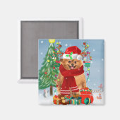Spitz mit Weihnachtsgeschenke Magnet (Vorderseite/Rückseite)
