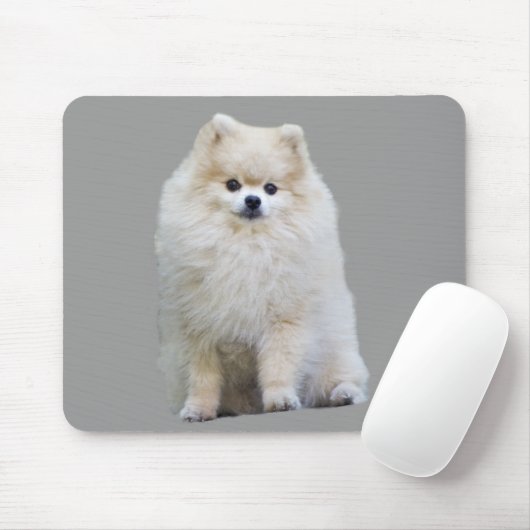 Spitz Mousepad (Mit Mouse)