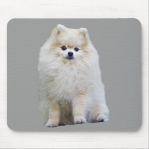 Spitz Mousepad