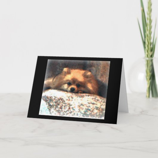 Spitz Notecard Karte (Vorderseite)