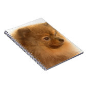 Spitz Notizblock (Rechte Seite)