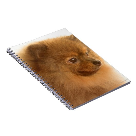 Spitz Notizblock (Rechte Seite)