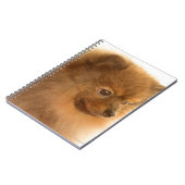 Spitz Notizblock (Linke Seite)