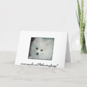 Spitz Party Attraktion ~ Geburtstagskarte Karte (Rückseite)