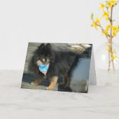 Spitz Party Attraktion ~ Geburtstagskarte Karte (Gelbe Blume)