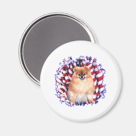 Spitz Patriot Magnet (Vorderseite/Rückseite)