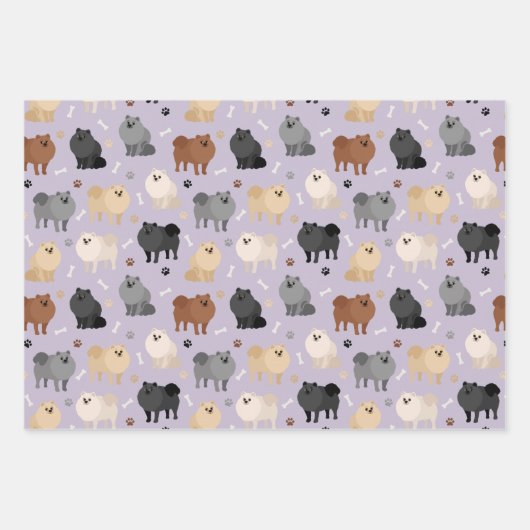 Spitz Paw-Drucke und Hundeknochen Geschenkpapier Set (Vorderseite 2)