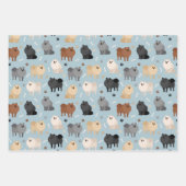 Spitz Paw-Drucke und Hundeknochen Geschenkpapier Set (Vorderseite)