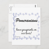 Spitz Pawprints Postkarte (Vorne/Hinten)