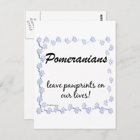 Spitz Pawprints Postkarte (Vorne/Hinten)