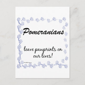 Spitz Pawprints Postkarte