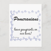 Spitz Pawprints Postkarte (Vorderseite)