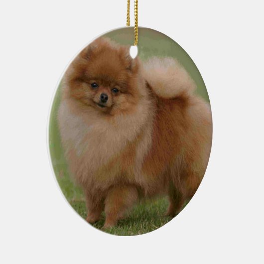 Spitz-Perfektion, Keramikornament (Rechts)