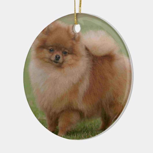 Spitz-Perfektion, Keramikornament (Links)