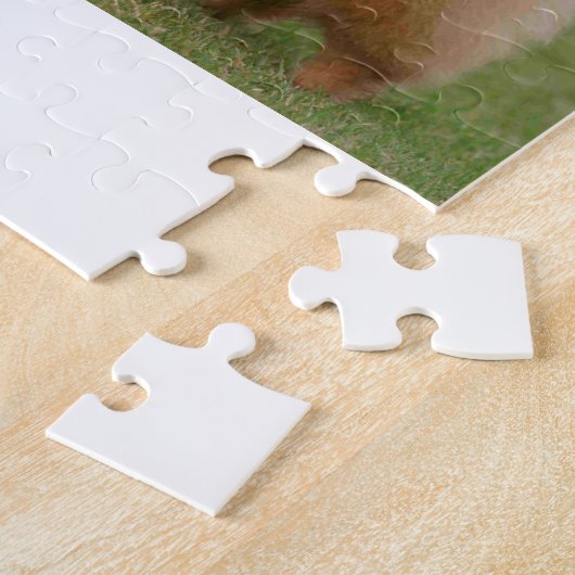 Spitz-Perfektion, Puzzle (Seite)