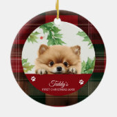Spitz Personalisiert Erster Weihnachten Keramik Ornament (Hinten)