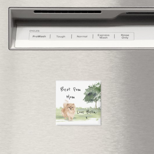 Spitz Personalisiert Magnet (In Situ (Geschirrspüler))