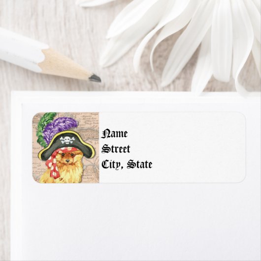 Spitz Pirate (Insitu)