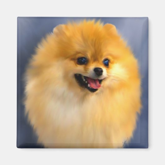 Spitz Portrait Magnet (Vorne)