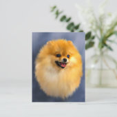 Spitz Portrait Postkarte (Stehend Vorderseite)