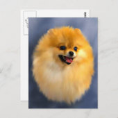 Spitz Portrait Postkarte (Vorne/Hinten)