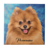 Spitz-Portrait über Abstrakten Hintergrund Fliese (Vorderseite)