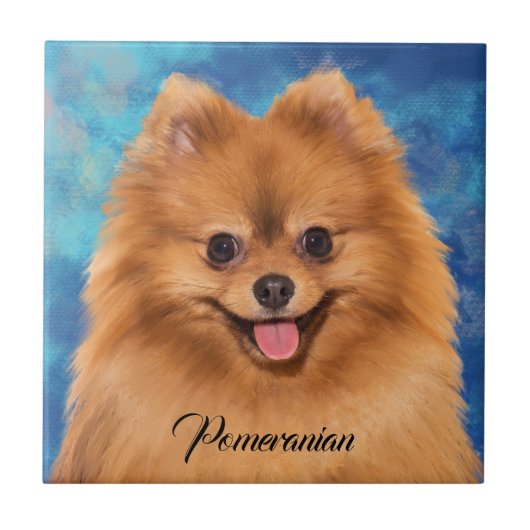 Spitz-Portrait über Abstrakten Hintergrund Fliese (Vorderseite)