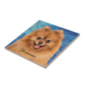 Spitz-Portrait über Abstrakten Hintergrund Fliese (Seite)