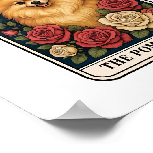 Spitz Poster (Ecke)