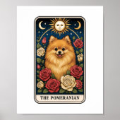 Spitz Poster (Vorne)