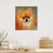 Spitz Poster (Küche)