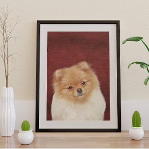 Spitz Poster