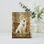 Spitz Postkarte (Stehend Vorderseite)