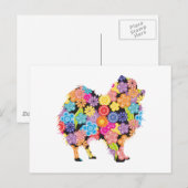 Spitz Postkarte (Vorne/Hinten)