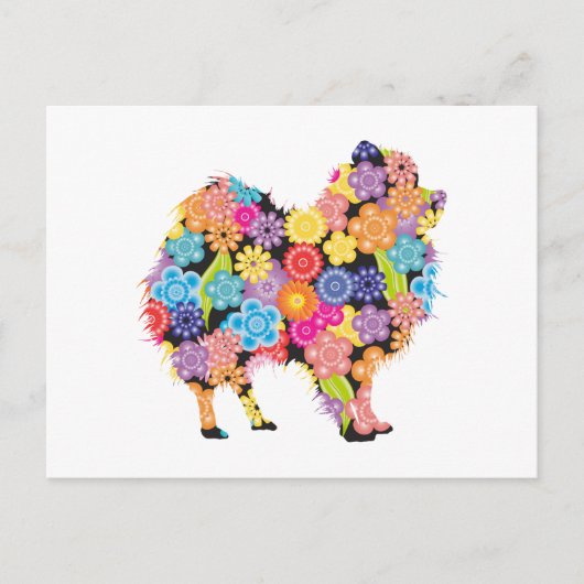 Spitz Postkarte (Vorderseite)