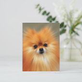 Spitz Postkarte (Stehend Vorderseite)