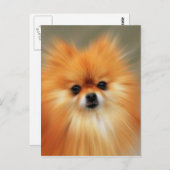 Spitz Postkarte (Vorne/Hinten)