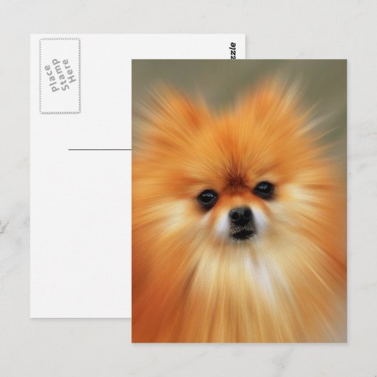 Spitz Postkarte (Vorne/Hinten)