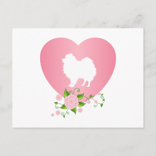 Spitz Postkarte (Vorderseite)