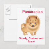 Spitz Postkarte (Vorne/Hinten)