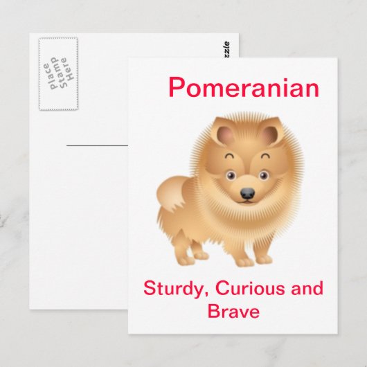 Spitz Postkarte (Vorne/Hinten)